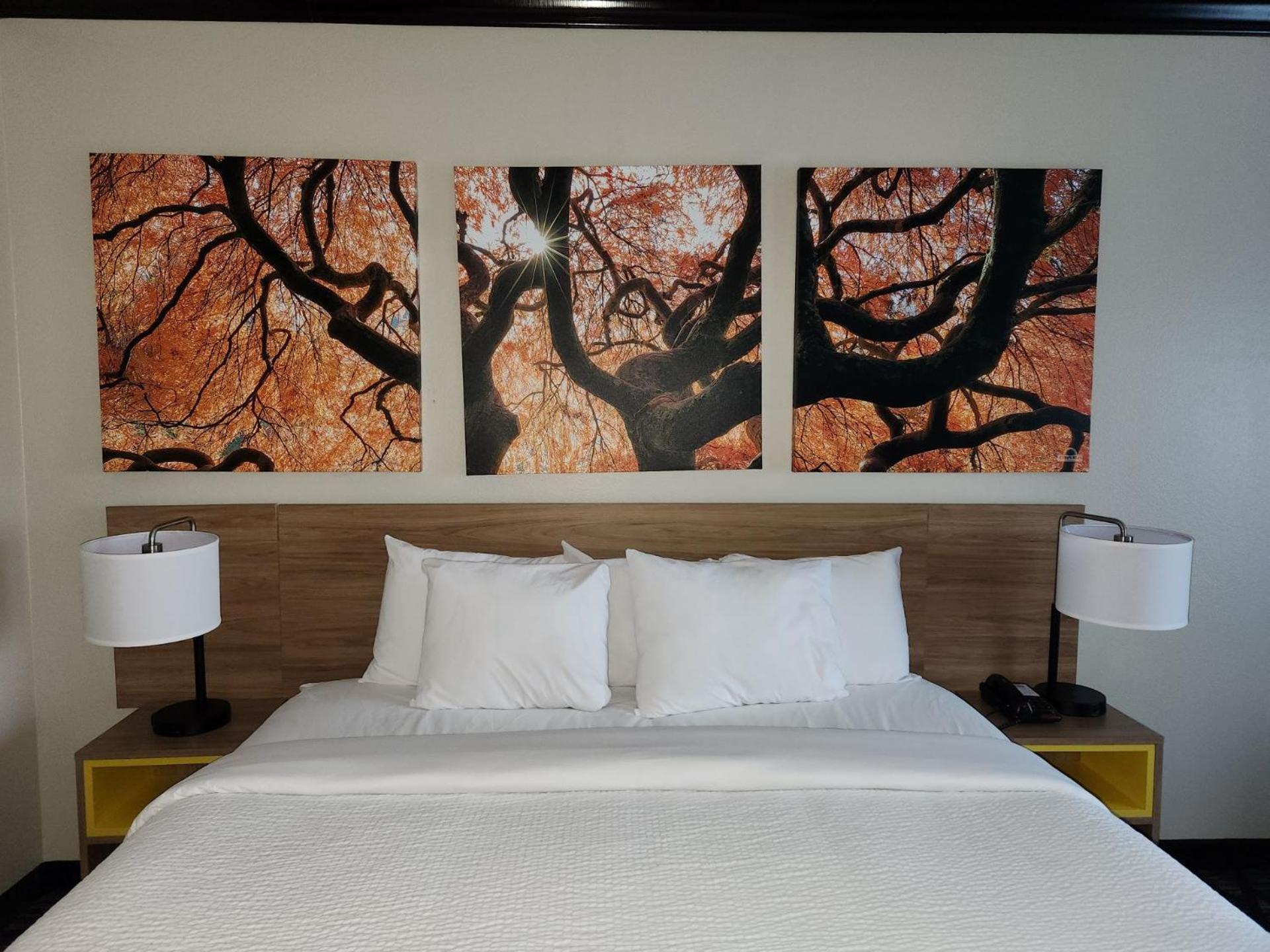 Days Inn By Wyndham Baton Rouge I-10 Prairieville Εξωτερικό φωτογραφία